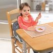 تصویر از صندلی غذای کودک سامر با قابلیت اتصال